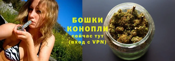 мяу мяу мука Иннополис