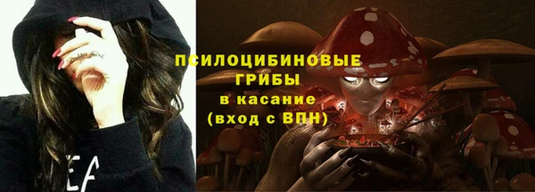 a pvp Инта