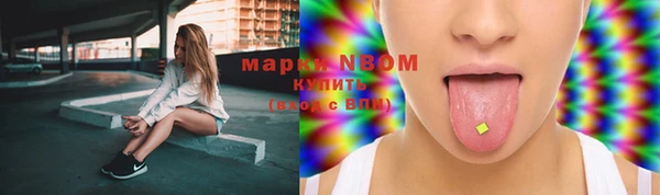 мяу мяу мука Иннополис