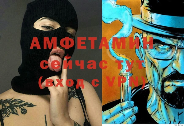 мяу мяу мука Иннополис