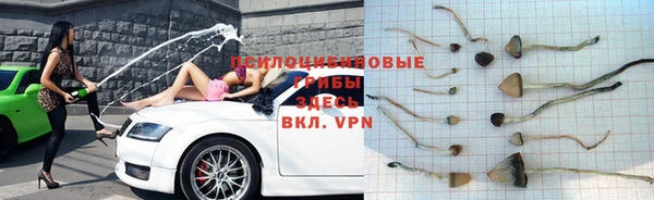 альфа пвп Инсар