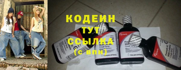 мяу мяу мука Иннополис