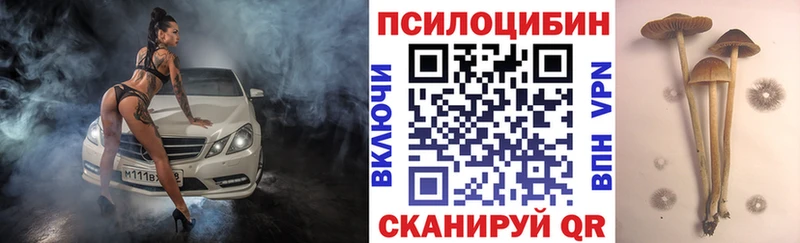 Галлюциногенные грибы мухоморы  Купить где  Ковров 